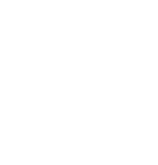 inventario icono